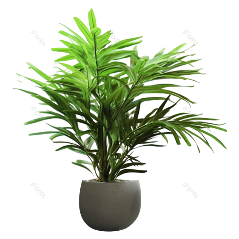 叶子图片,装饰元素,花纹PNG,清新免抠素材